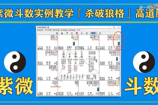 紫薇斗数格局测算