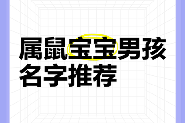 傍晚6点出生的属鼠男孩应该怎么样取名姓名