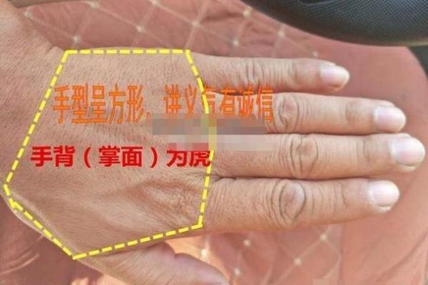 手指算命，手指长短判断一个人的个性