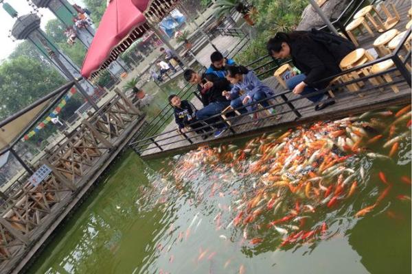 成都算命哪里好