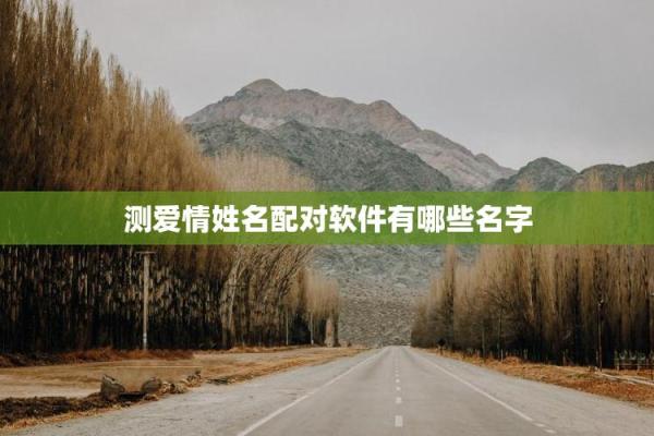 免费测试二人姓名配对的软件 免费测两人姓名？