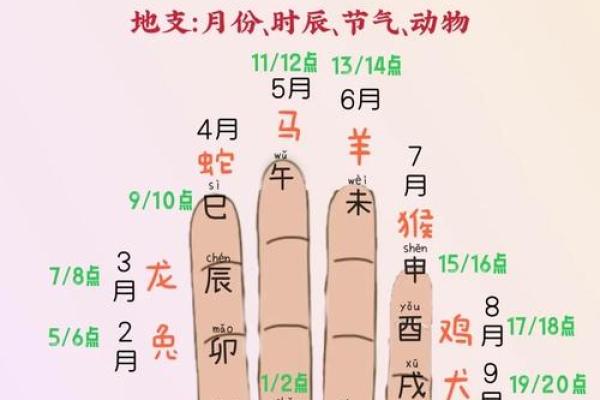 算命按节气好还是月份好