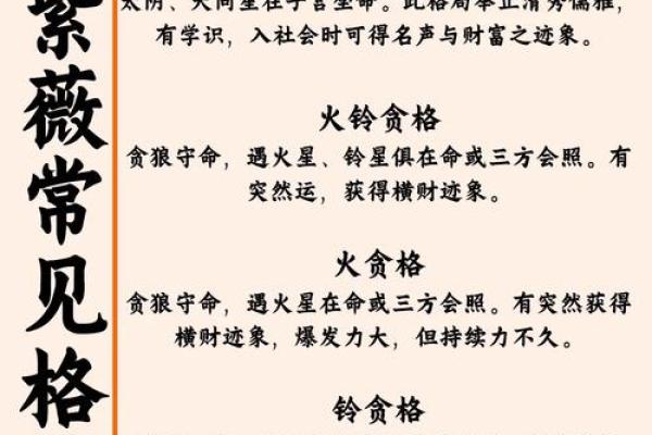 紫薇斗数大财禄