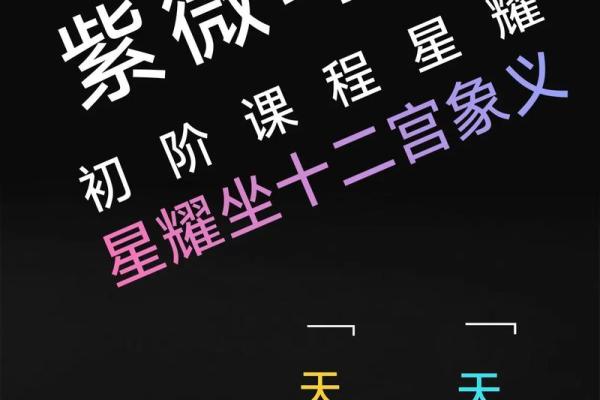 紫薇斗数年魁