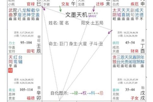 循环忌紫薇斗数