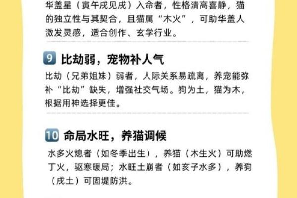 养猫能招财吗？你的八字能养猫吗
