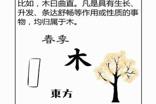 为什么八字缺木是好事五行缺木的人