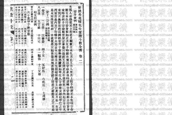 高级紫薇斗数书