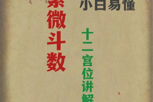 城府深的紫薇斗数