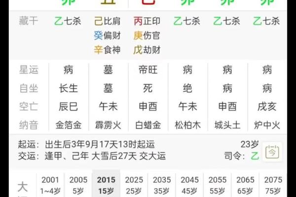 八字排盘宝免费版