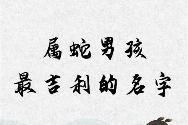 5月份出生的属蛇男孩该怎样取名字姓名