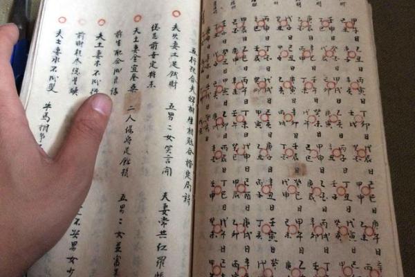 算命的需要学什么专业