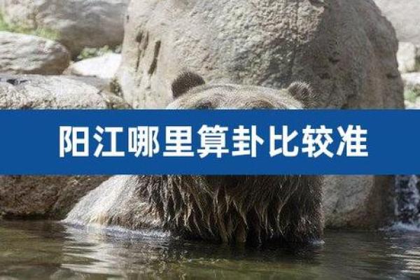 广东算命的