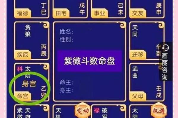 紫薇斗数男命主要看什么宫位