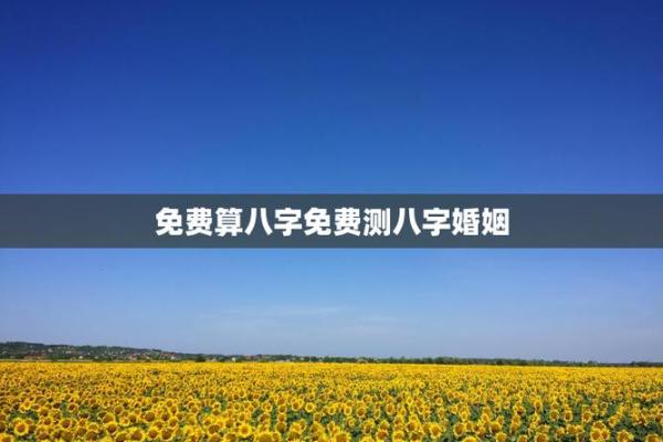 八字姻缘网 姻缘八字测算？