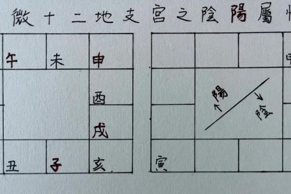 紫薇斗数阳宫