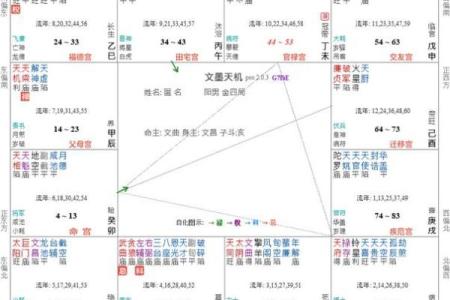紫薇斗数干的气化