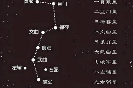 八字巳月