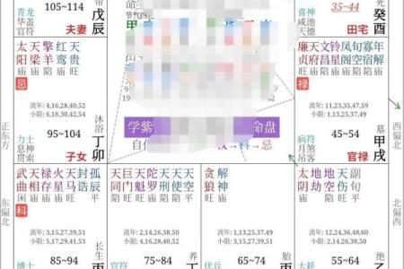 紫微斗数诸星落诸宫之：太阳星福德宫详解