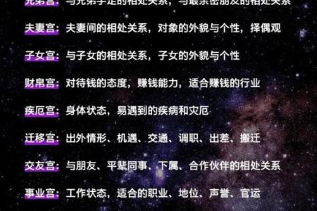 紫薇斗数看人生txt的简单介绍