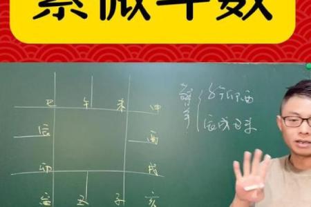 紫薇斗数疾恶擎羊
