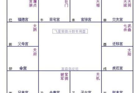 紫微斗数诸星落诸宫之，夫妻宫