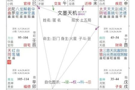 循环忌紫薇斗数