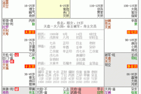 紫薇斗数怎么算命