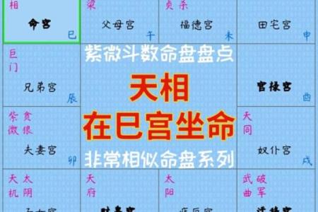 紫薇斗数看生男生女
