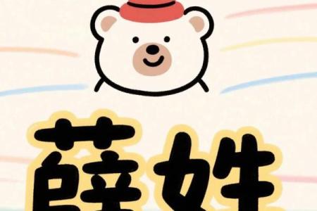 薛姓女孩名字大全-薛姓女孩起名字大全-薛姓名字大全姓名