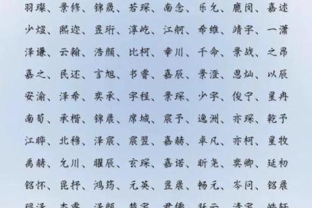 2019年4月24号寅时出生的男孩应该起什么样的名字姓名