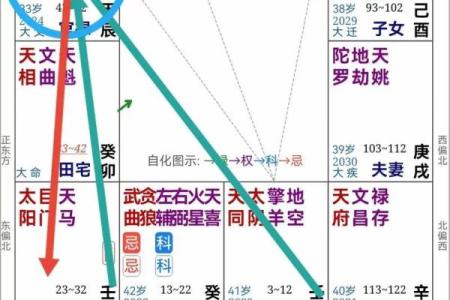 紫薇斗数禄倒