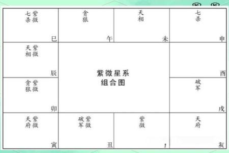 紫薇斗数的紫薇是啥意思