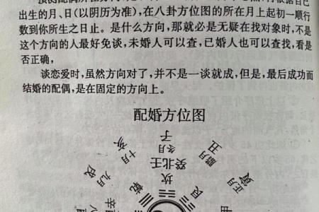 八字配对算命