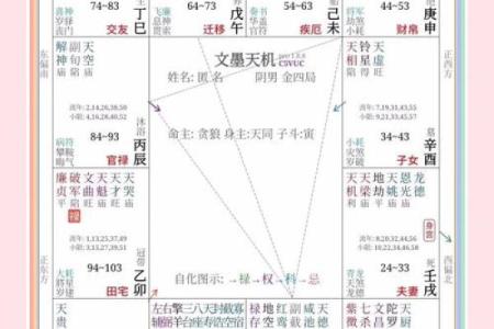 紫微斗数之诸星值限年运气推断：昌曲星之年