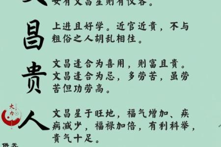 八字带文昌星的人好吗？一定是个聪明人