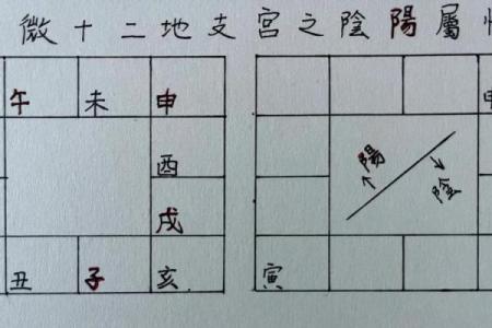 紫薇斗数阳宫