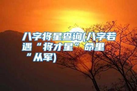 八字将星不同位置意义