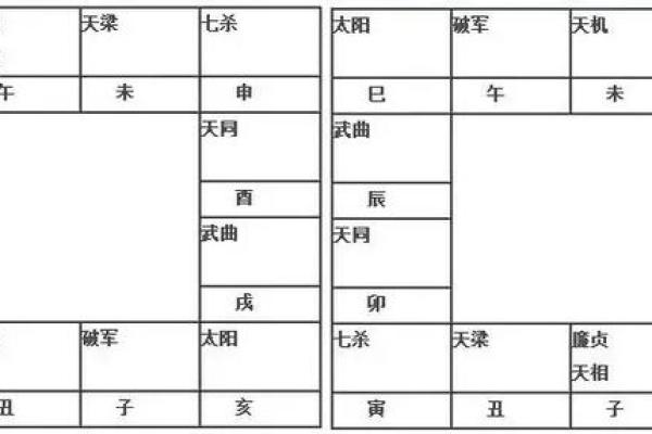 紫薇斗数排盘步骤