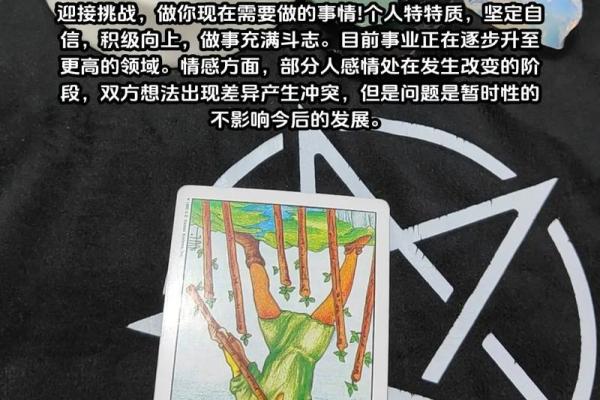塔罗测试：九月学习运？