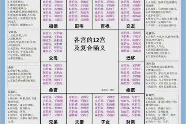 紫薇斗数星大全