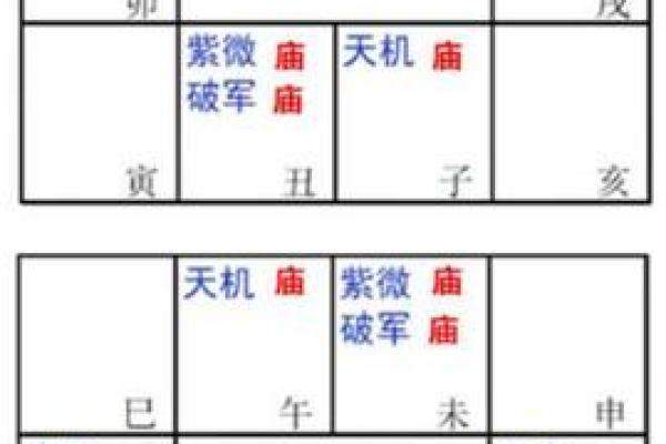 紫薇斗数太阴在戌