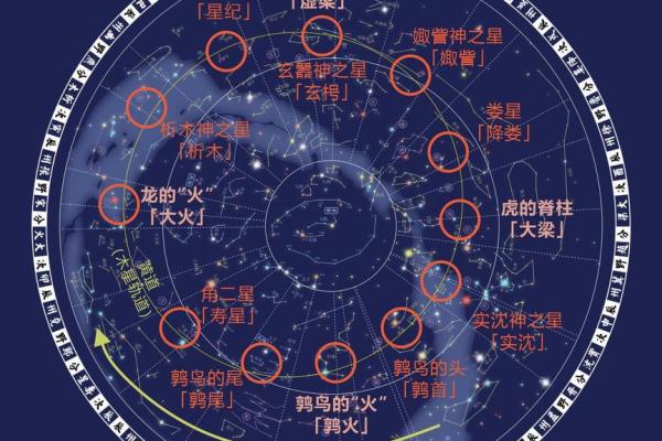 手相木星环算命解析