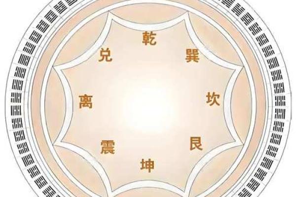 易经网算命
