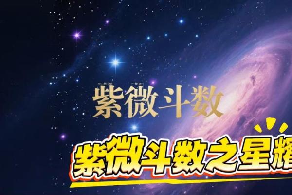 紫薇斗数32星曜