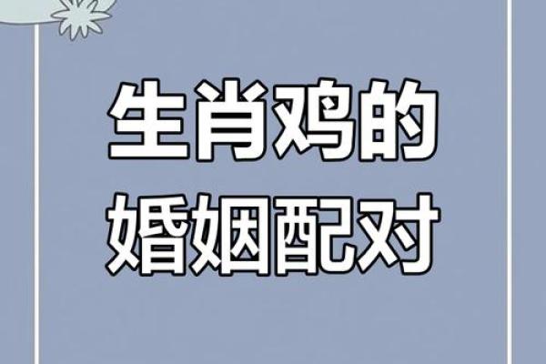 属鼠和属鸡的八字合不合得来,属鸡的跟属鼠的合财吗