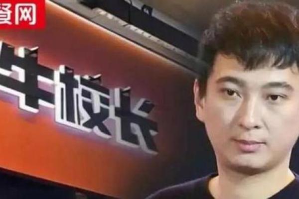 王思聪紫薇斗数