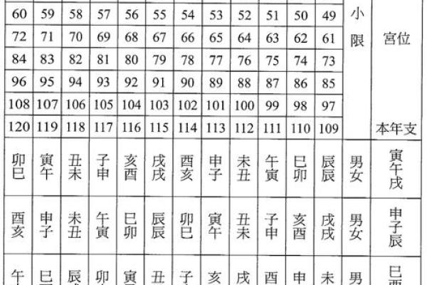 免费的紫微斗数排盘 免费紫微斗数排盘及含义？