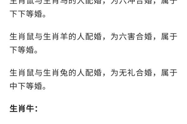 中等八字