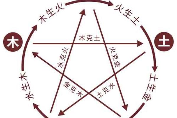 梅花易数与八字命理的区别